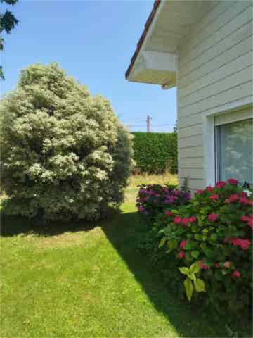 Ático en Alquiler en Castanedo