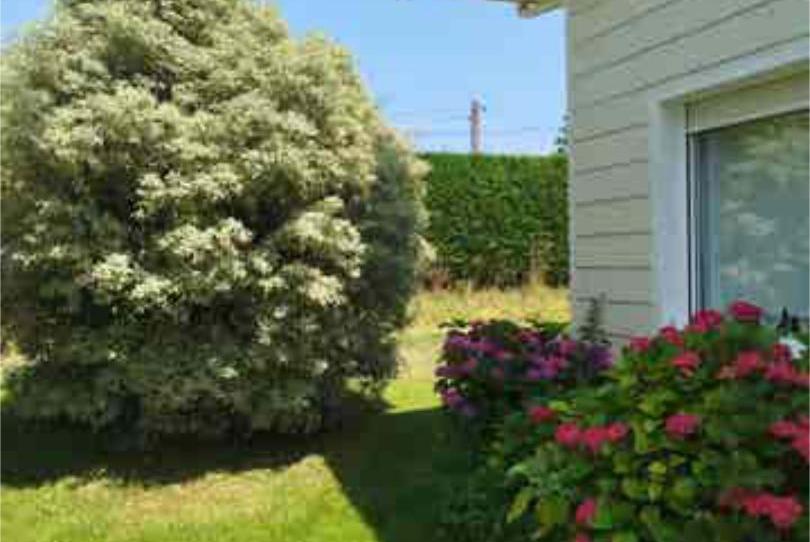 Àtic de lloguer a Castanedo, Ribamontán al Mar - imatge 1 Foto 1 de Àtic de lloguer a Castanedo, Ribamontán al Mar