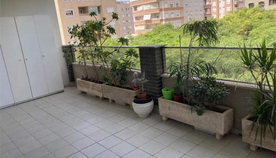 Piso de alquiler en Ciutat Esportiva, Elche / Elx - imagen 1 Foto 1 de Piso de alquiler en Ciutat Esportiva, Elche / Elx