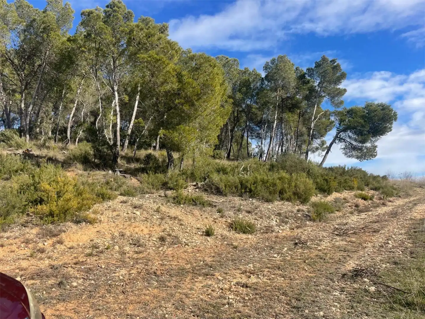 Piso en venta en Mogente / Moixent