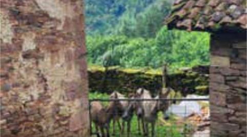 Foto 2 de Casa o chalet en venta en Ezkurra, Navarra