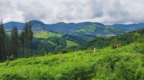 Foto 3 de Casa o chalet en venta en Ezkurra, Navarra