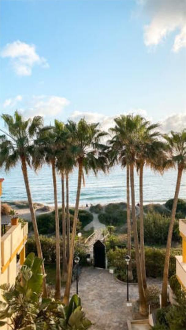 Vista exterior de Pis en venda en Marbella amb Terrassa i Piscina