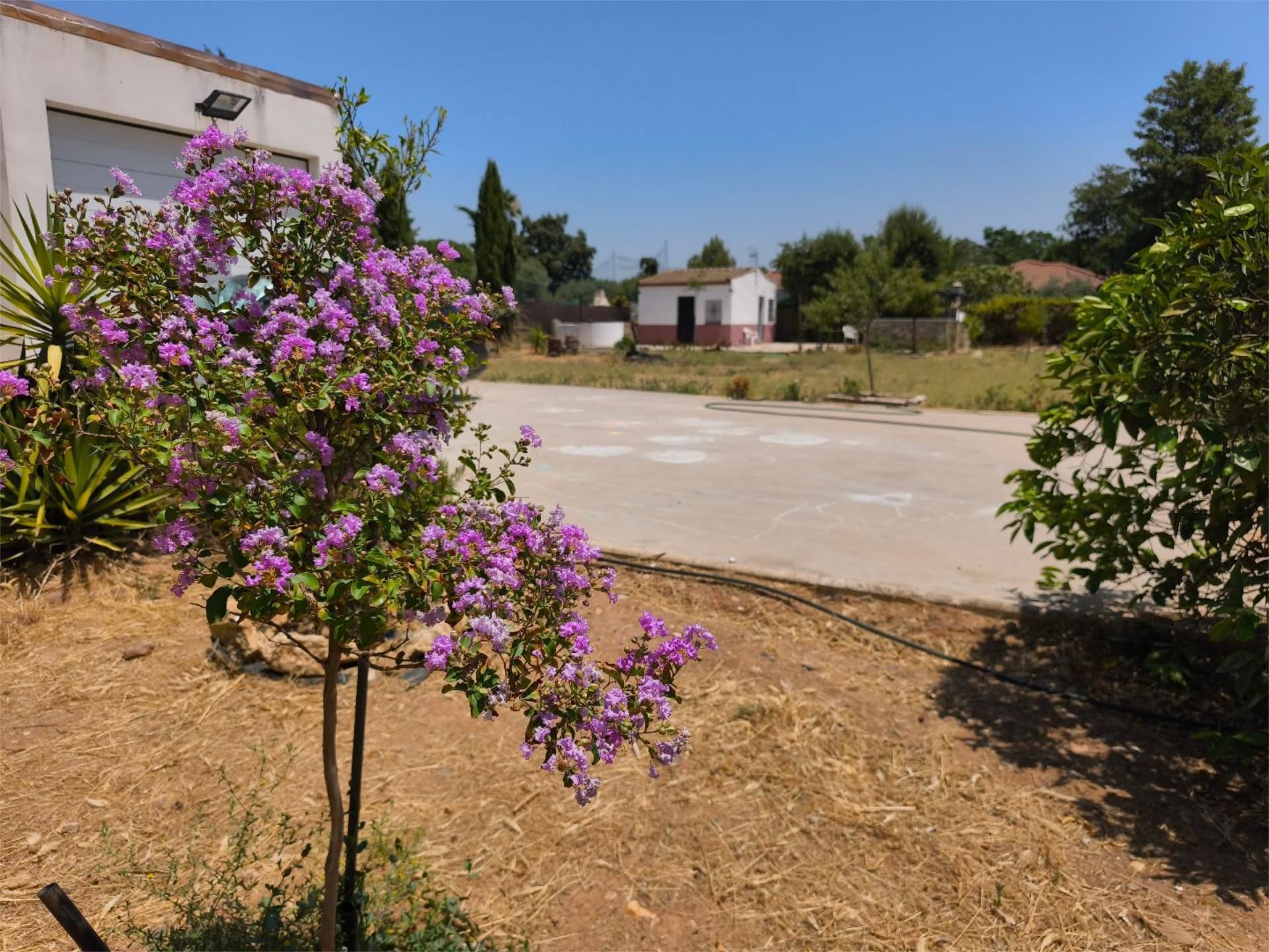 Casa o xalet en venda en  Córdoba Capital amb Moblat