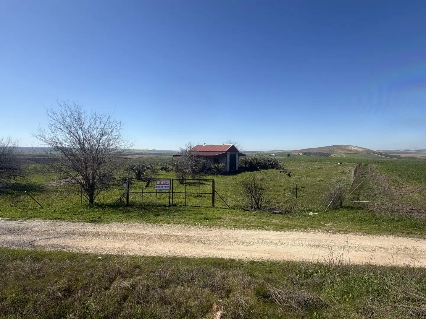 Terreno en venta en Plaza Mayor, 6, Santaella Terreno en venta en Santaella