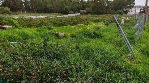 Country house for sale in Desconocido, 81c, El Zabal - Santa Margarita, La Línea de la Concepción - image 5 Photo 5 of Country house for sale in Desconocido, 81c, El Zabal - Santa Margarita, La Línea de la Concepción