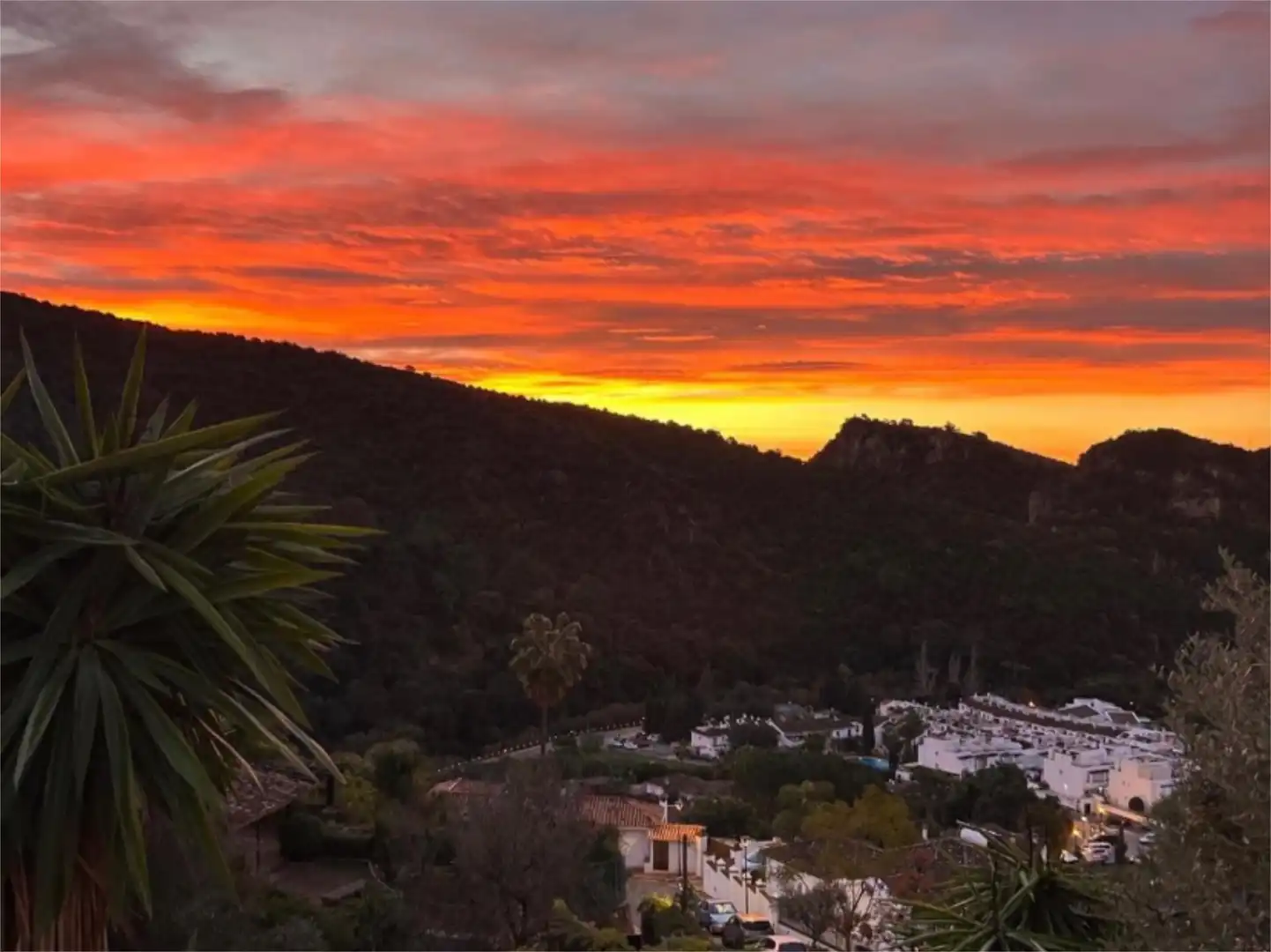 Vista exterior de Finca rústica en venda en Benahavís amb Aire condicionat, Calefacció i Jardí privat