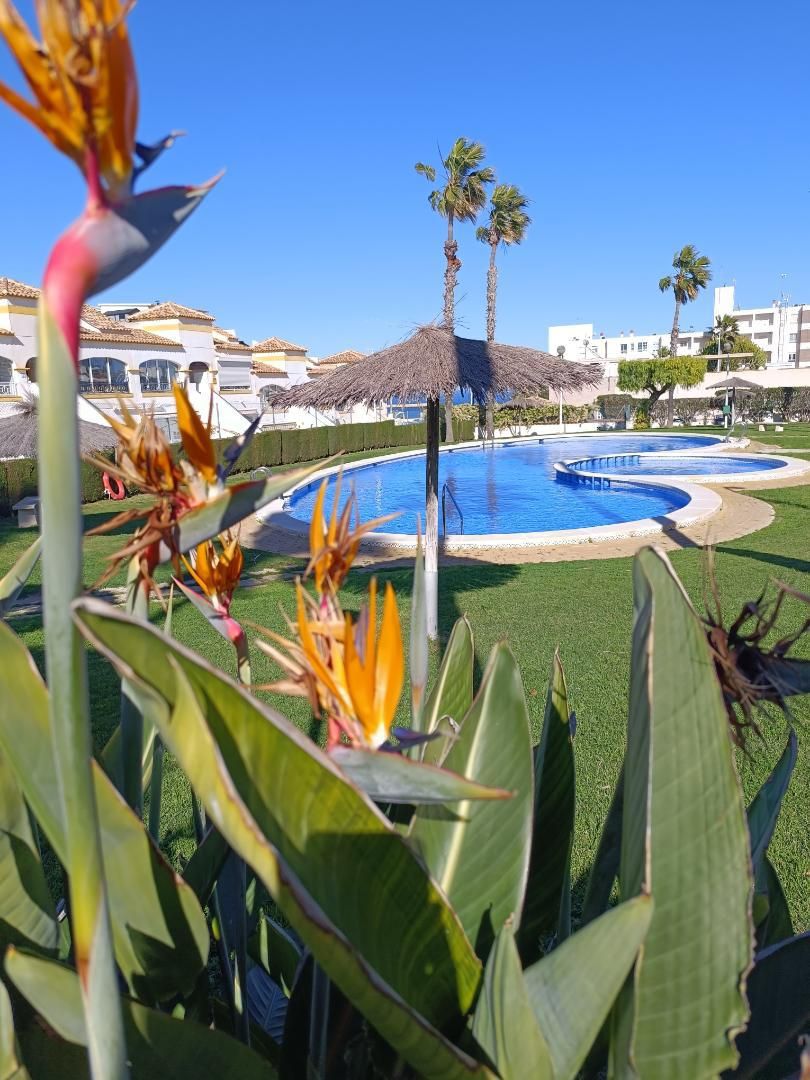 Wohnungen zur Miete in Avinguda D'Escandinàvia, 245, Monte Faro - Altomar II