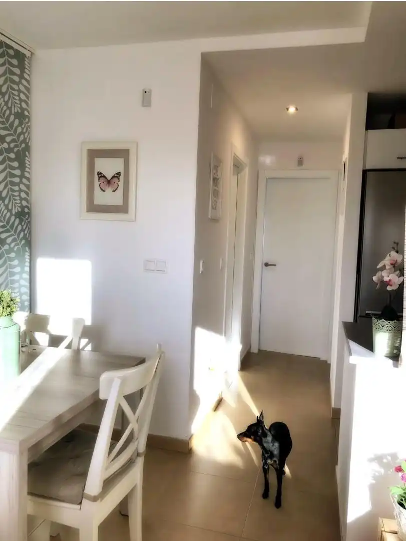 Attic for rent in Condado de Alhama Attic for rent in Condado de Alhama
