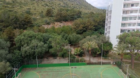 Foto 3 de Pis en venda a Avinguda Pere Mas I Reus, 24, Port d'Alcúdia - Platja d'Alcúdia, Alcúdia