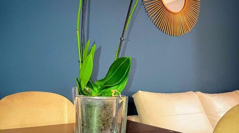 Foto 4 de Piso en venta en Calle Arroyo Totalán, 9, La Cala del Moral, Rincón de la Victoria