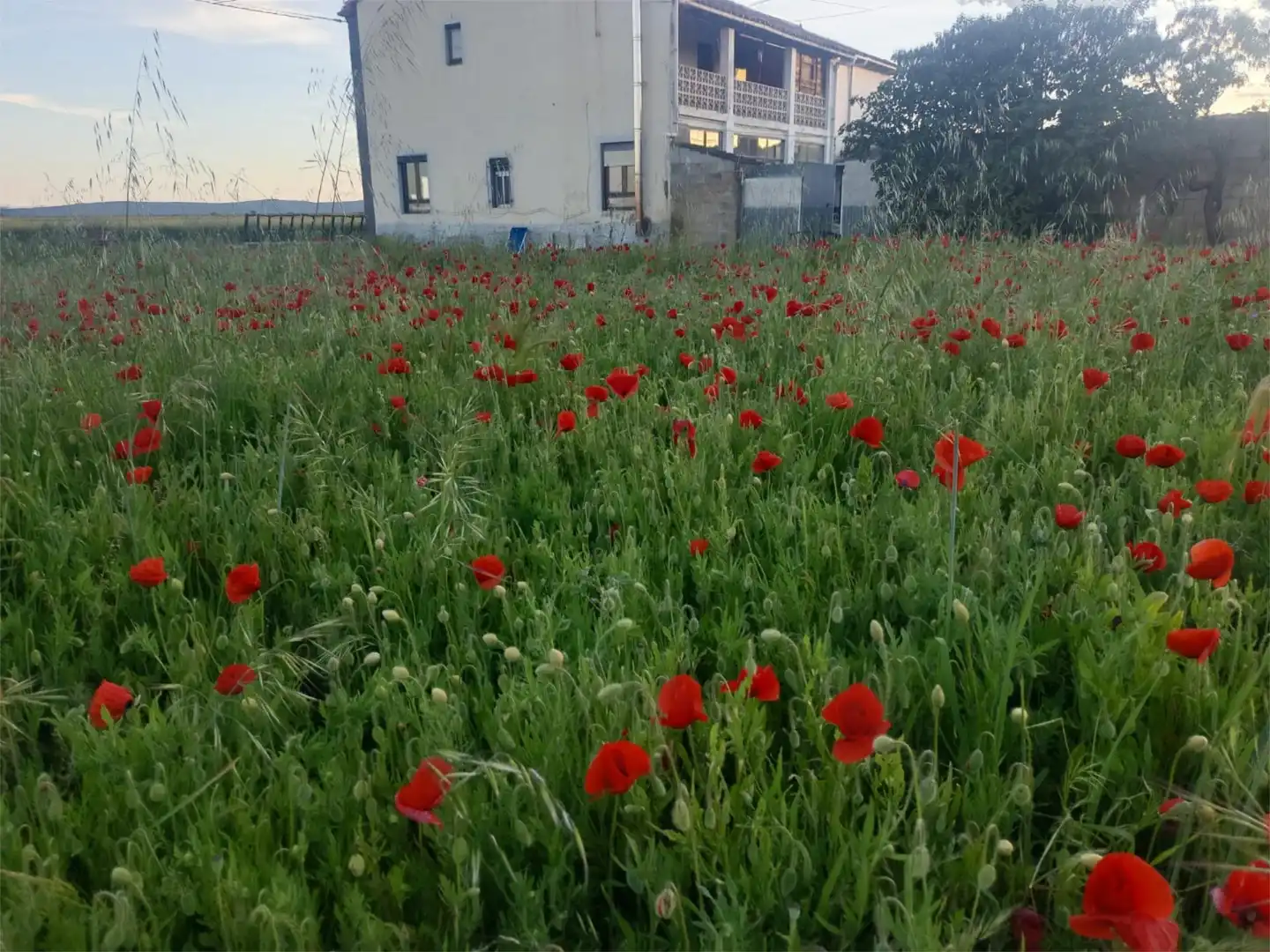 Casa o chalet en venta en Calle Esmeralda, 76, Villamontán de la Valduerna Casa o chalet en venta en Villamontán de la Valduerna con Calefacción, Jardín privado y Terraza