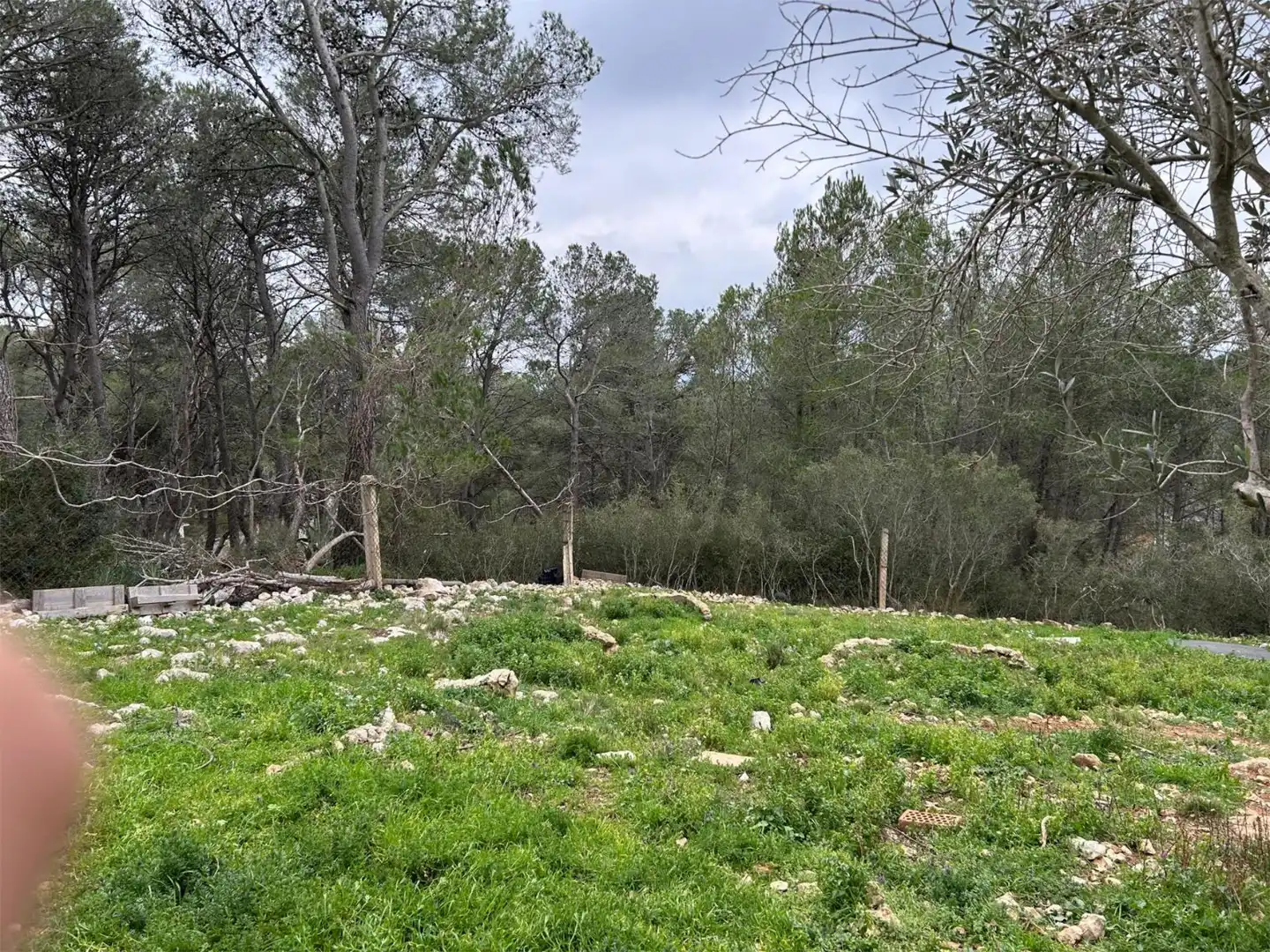 Casa o xalet en venda a El Montmell Casa o xalet en venda en El Montmell amb Aire condicionat, Terrassa i Balcó