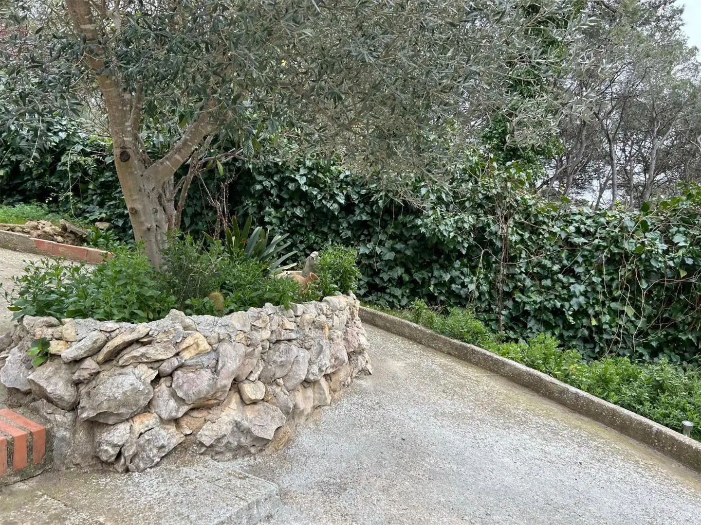 Casa o xalet en venda a El Montmell Jardí de Casa o xalet en venda en El Montmell amb Aire condicionat, Terrassa i Balcó