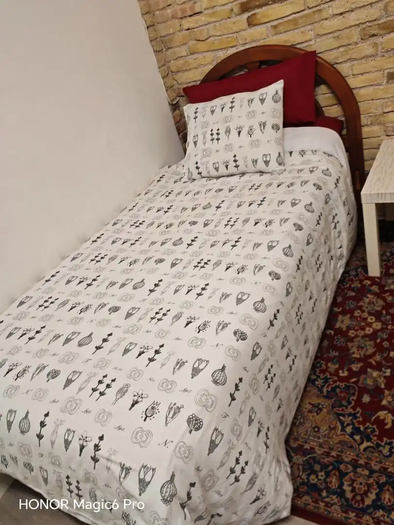 Zimmer in Carrer Modern, 48, Santa Eulàlia