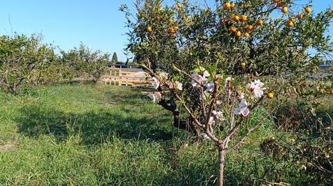 Foto 5 von Grundstücke zum Verkauf in Plaça Numero 8, 115, Bonavista - Lago de San Lorenzo, Cullera