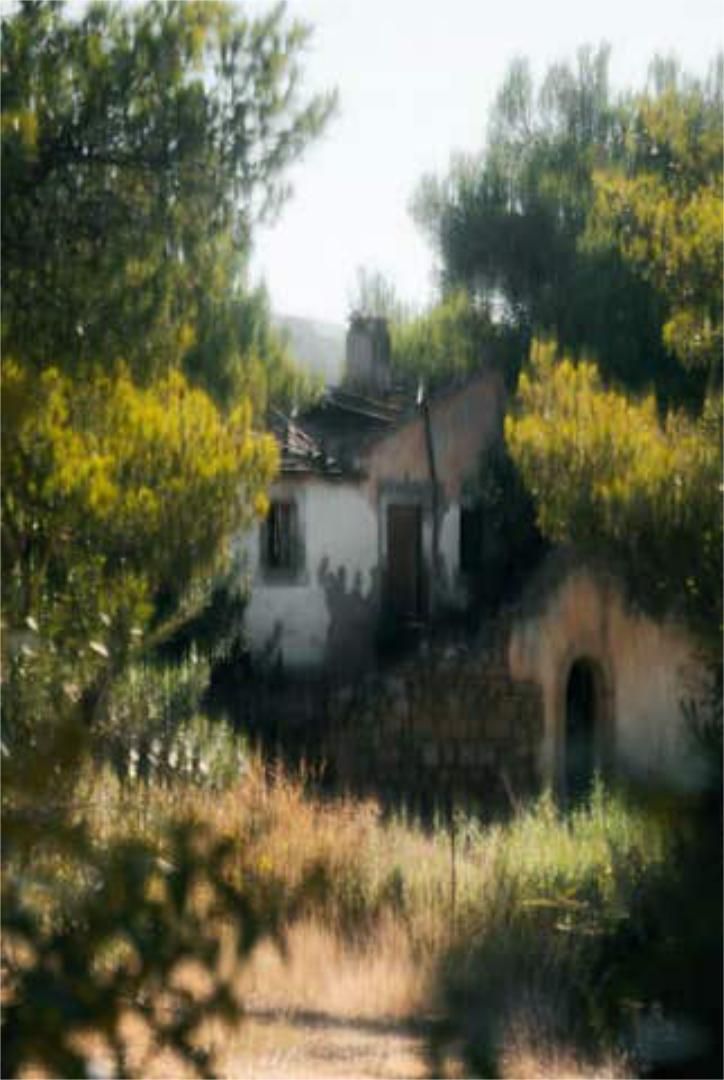 Vista exterior de Casa o xalet en venda en Alcúdia amb Terrassa