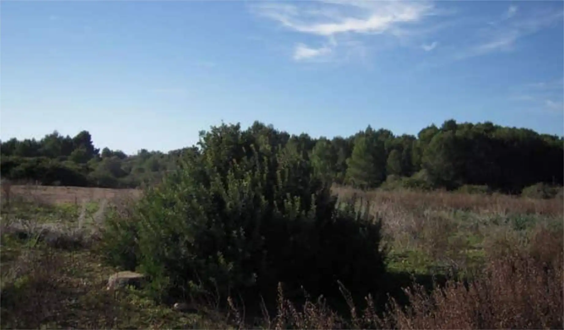 Casa o xalet en venda en Alcúdia amb Terrassa