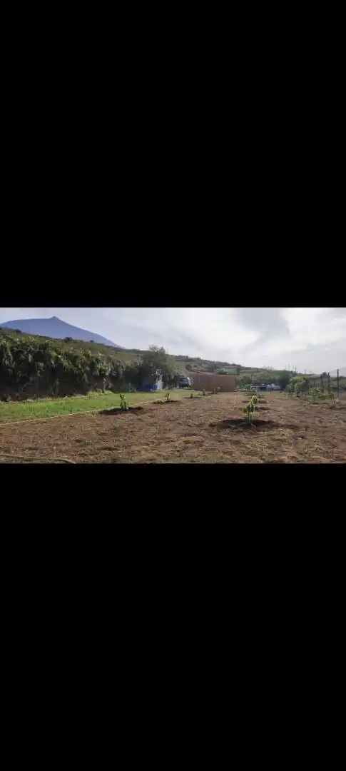 Finca rústica en venta en Camino los Chavocos, 49, Icod El Alto Finca rústica en venta en Los Realejos con Aire acondicionado, Calefacción y Jardín privado