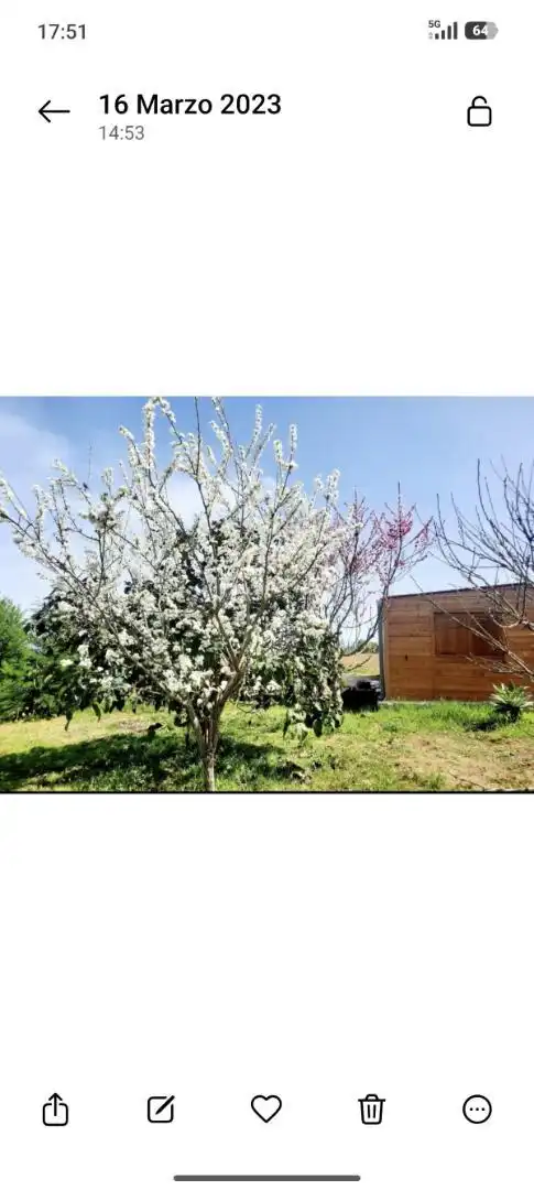 Finca rústica en venta en Camino los Chavocos, 49, Icod El Alto Jardín de Finca rústica en venta en Los Realejos con Aire acondicionado, Calefacción y Jardín privado
