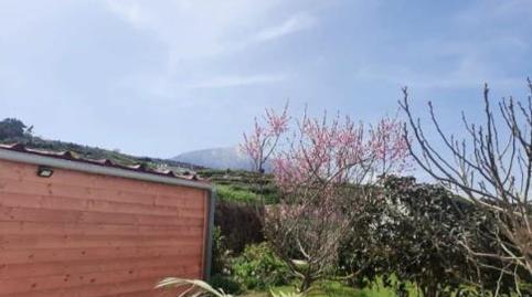 Finca rústica en venda a Camino Los Chavocos, 49, Icod El Alto, Los Realejos - imatge 3 Foto 3 de Finca rústica en venda a Camino Los Chavocos, 49, Icod El Alto, Los Realejos