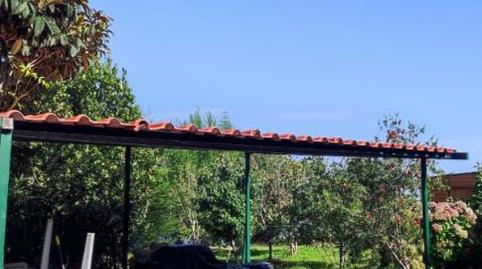 Finca rústica en venda a Camino Los Chavocos, 49, Icod El Alto, Los Realejos - imatge 5 Foto 5 de Finca rústica en venda a Camino Los Chavocos, 49, Icod El Alto, Los Realejos