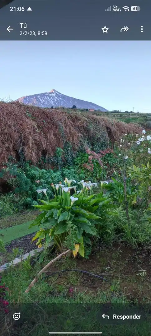 Finca rústica en venta en Camino los Chavocos, 49, Icod El Alto Jardín de Finca rústica en venta en Los Realejos con Aire acondicionado, Calefacción y Jardín privado