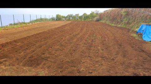 Foto 3 de Finca rústica en venda a Camino Los Chavocos, 49, Icod El Alto, Los Realejos