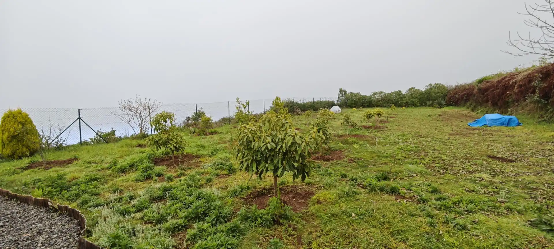 Finca rústica en venta en Camino los Chavocos, 49, Icod El Alto Finca rústica en venta en Los Realejos con Aire acondicionado, Calefacción y Jardín privado