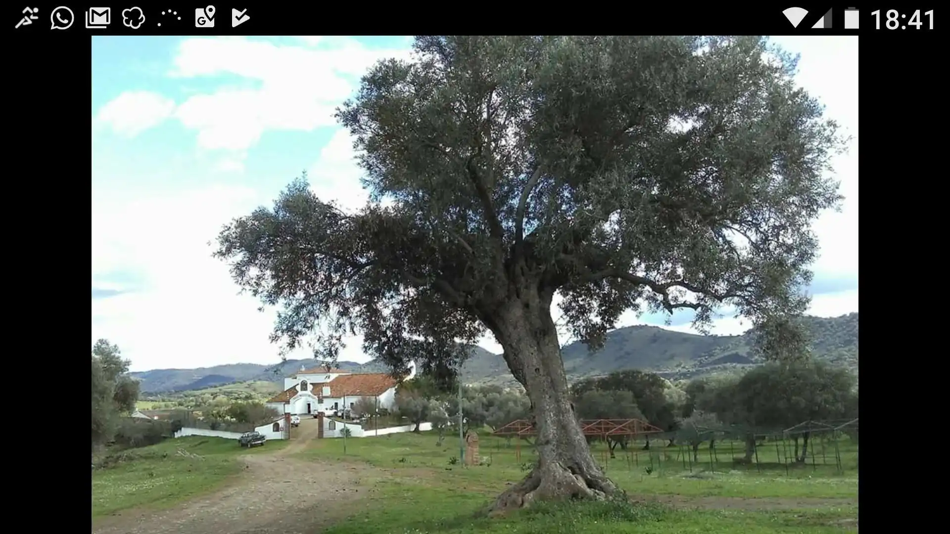 Vista exterior de Terreno en venta en Encinasola