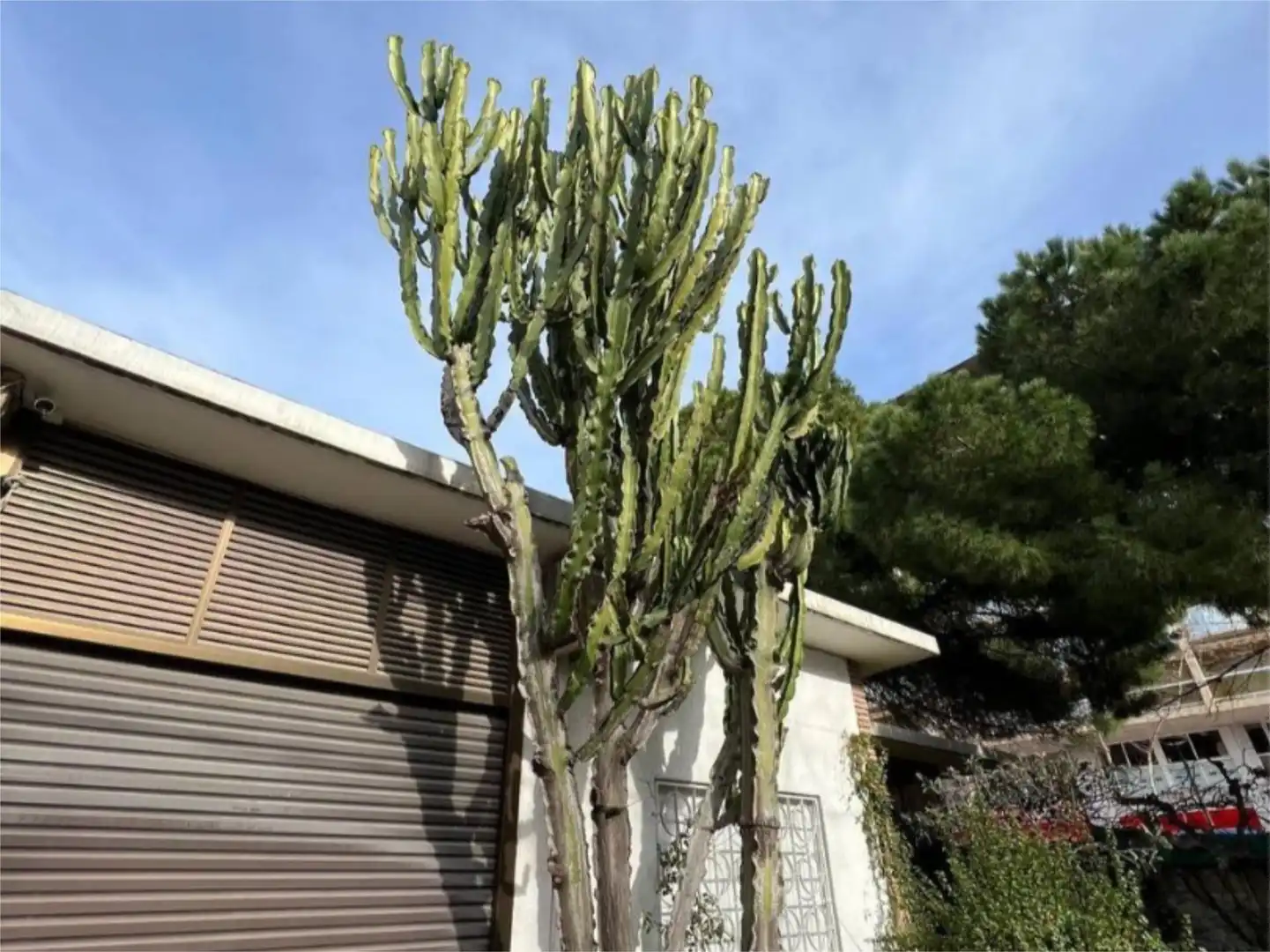 Houses for sale in Carrer d'Osca, Mar i Camp - Platja dels Capellans Garden of Houses for sale in Salou with Air Conditioner and Terrace