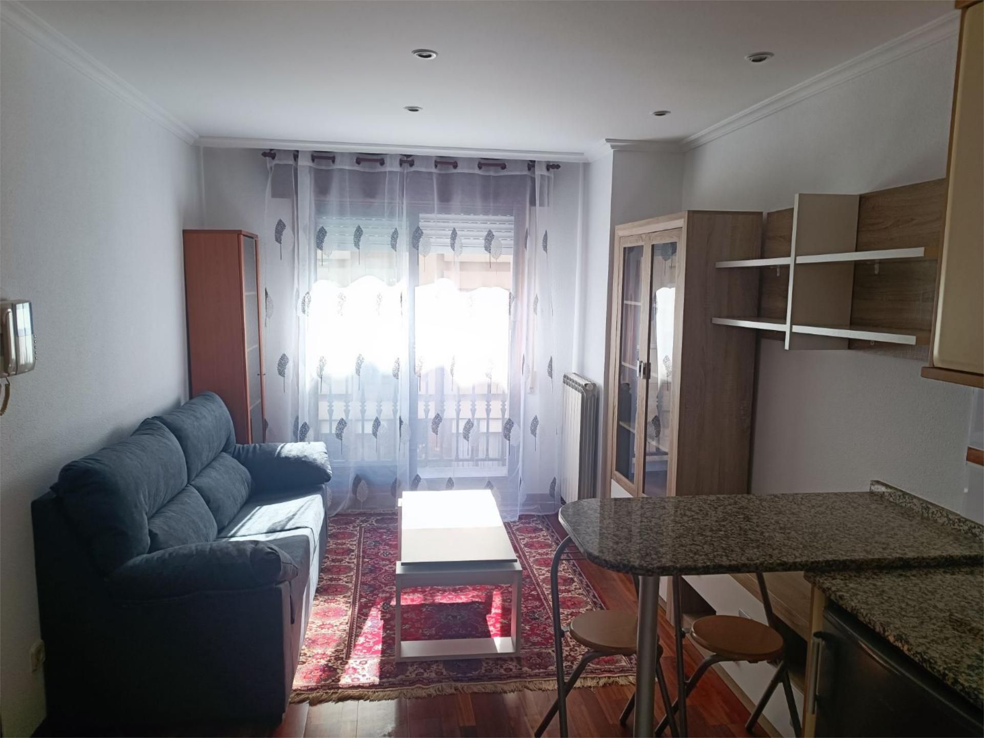 Sala d'estar de Apartament de lloguer en Vigo  amb Calefacció, Parquet i Moblat