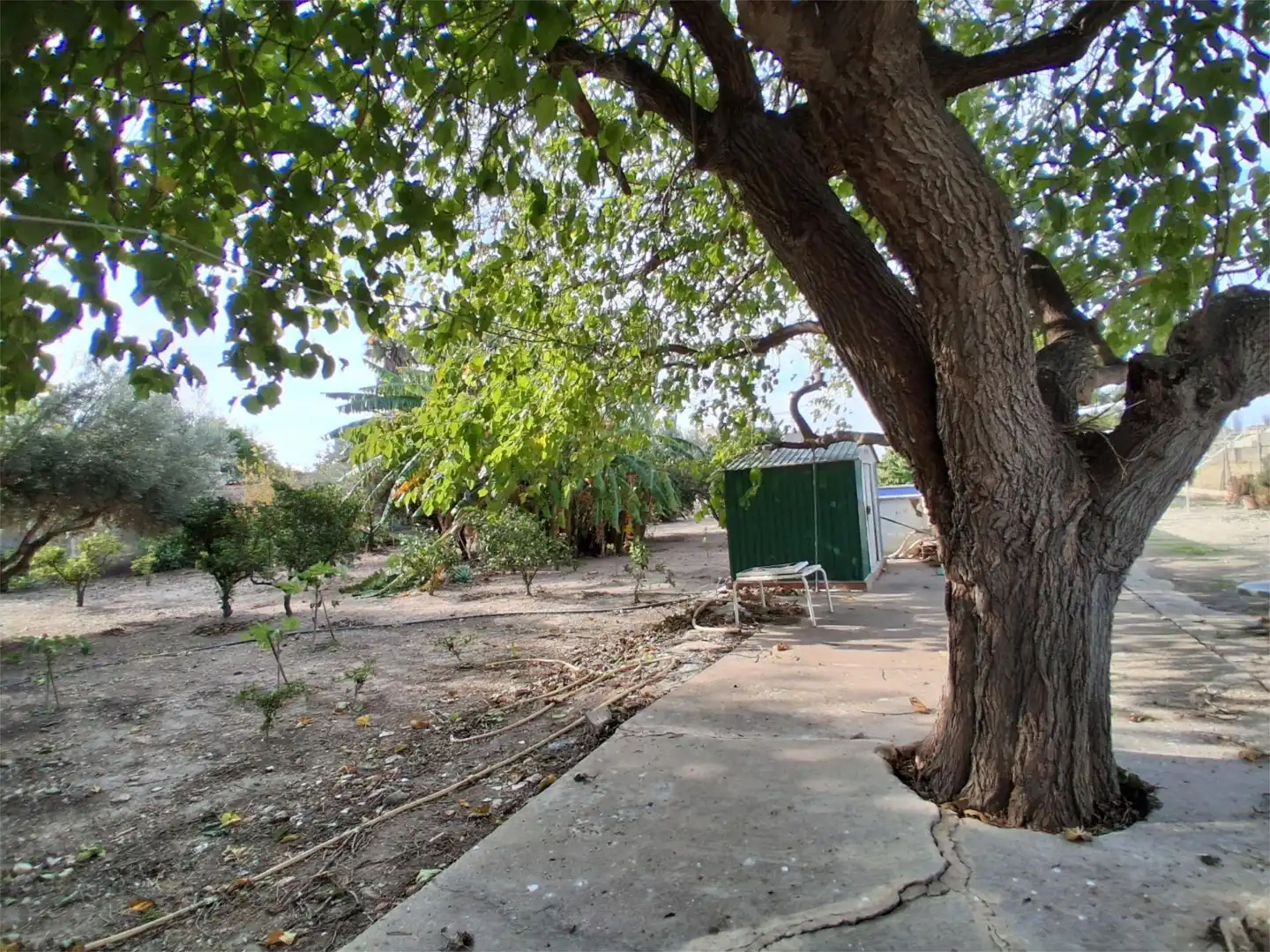 Country homes for sale in Plaça Numero 28, 120, Sollana Country homes for sale in Sollana with Swimming Pool and Balcony