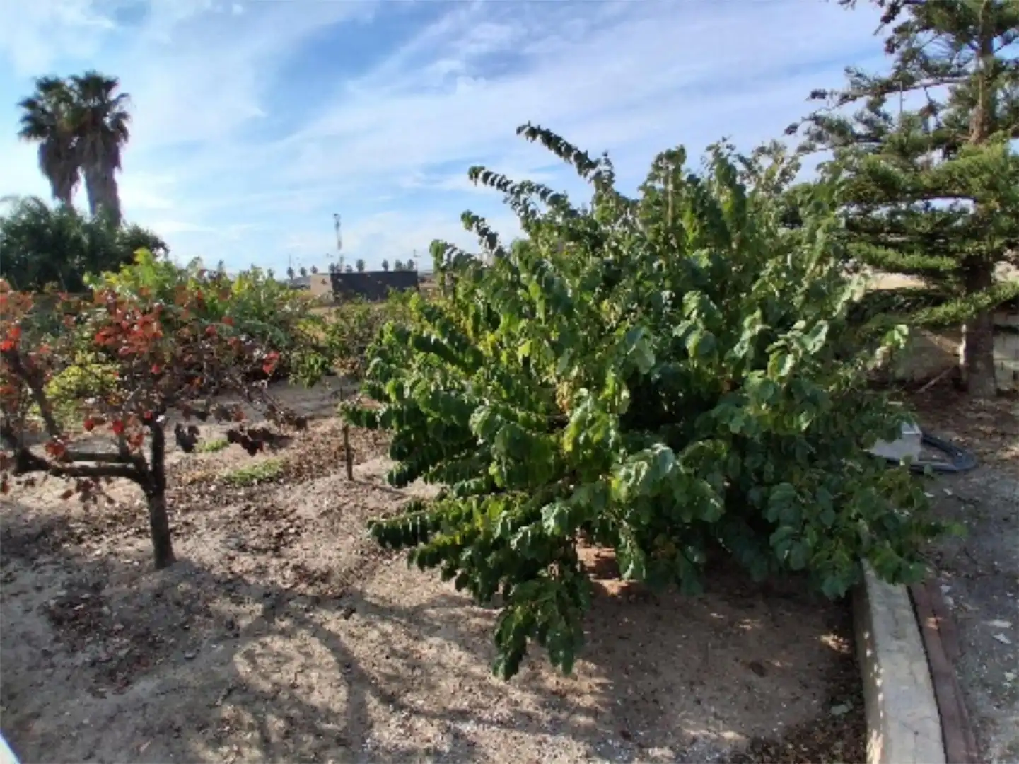 Country homes for sale in Plaça Numero 28, 120, Sollana Country homes for sale in Sollana with Swimming Pool and Balcony