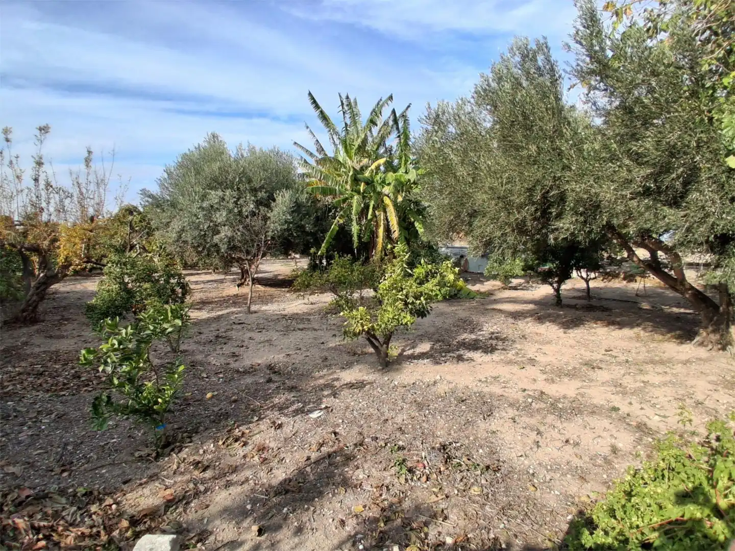 Country homes for sale in Plaça Numero 28, 120, Sollana Country homes for sale in Sollana with Swimming Pool and Balcony