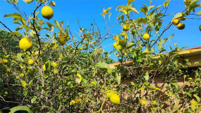 Casa adosada en Venta en Aldekoena - Artatzagana - Sarriena