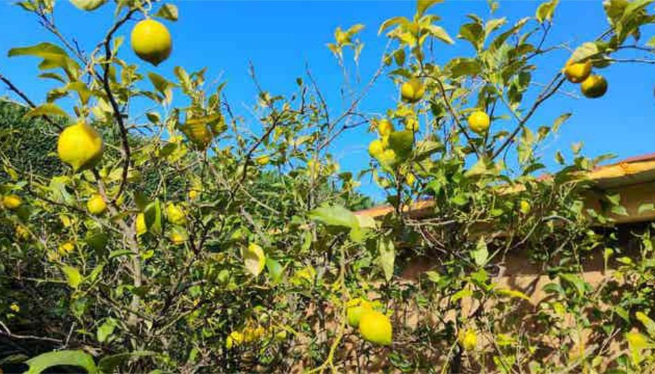 Casa adosada en venta en Aldekoena - Artatzagana - Sarriena, Leioa - imagen 1 Foto 1 de Casa adosada en venta en Aldekoena - Artatzagana - Sarriena, Leioa