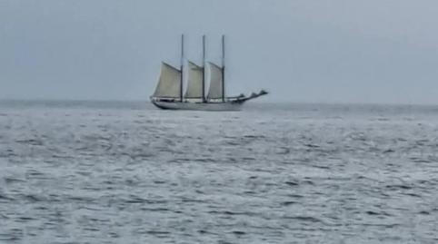 Photo 3 of Single-family semi-detached for sale in Snu Pn Ba Puntalón, 74, Los Tablones - La Garnatilla, Motril