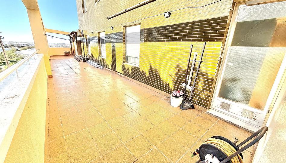 Flat for sale in Plaza la Petanca, 3, Santa María del Águila, El Ejido - image 1 Photo 1 of Flat for sale in Plaza la Petanca, 3, Santa María del Águila, El Ejido