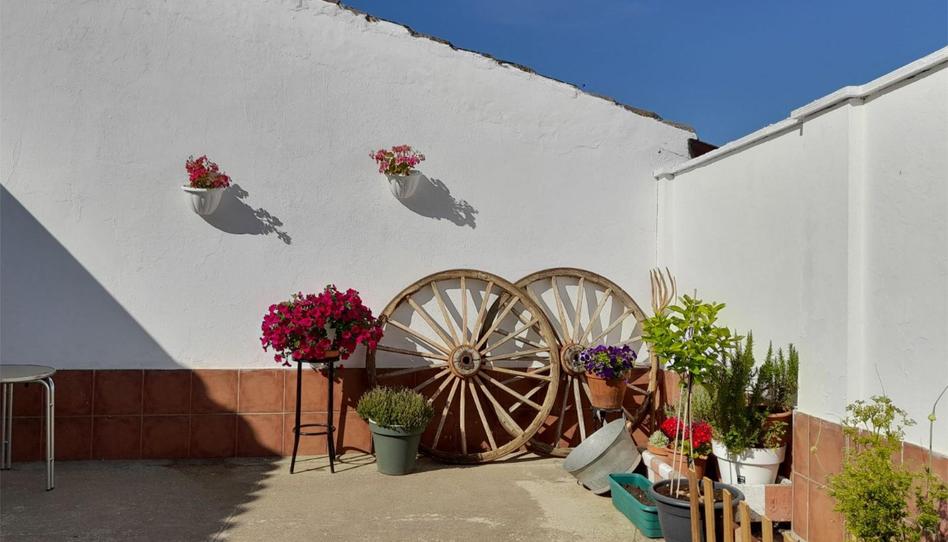 Casa adosada en venta en Plaza Jose Antonio, 5, La Unión de Campos , Valladolid - imagen 1 Foto 1 de Casa adosada en venta en Plaza Jose Antonio, 5, La Unión de Campos , Valladolid