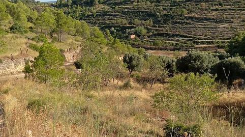 Foto 2 de Finca rústica en venda a Carrer Freginals, 11, Corbera d'Ebre, Tarragona