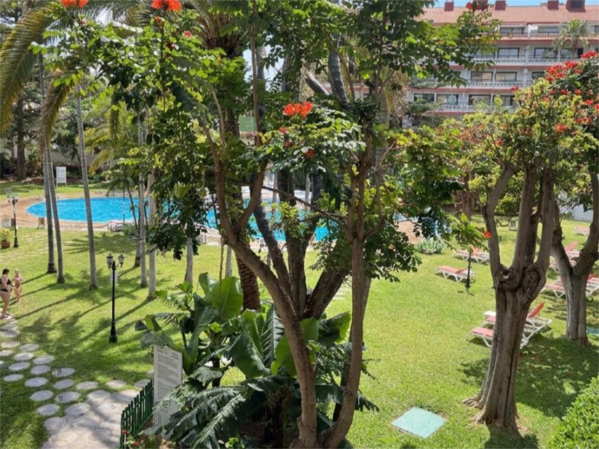 Garden of Study for sale in Puerto de la Cruz  with Air Conditioner, Terrace and Swimming Pool