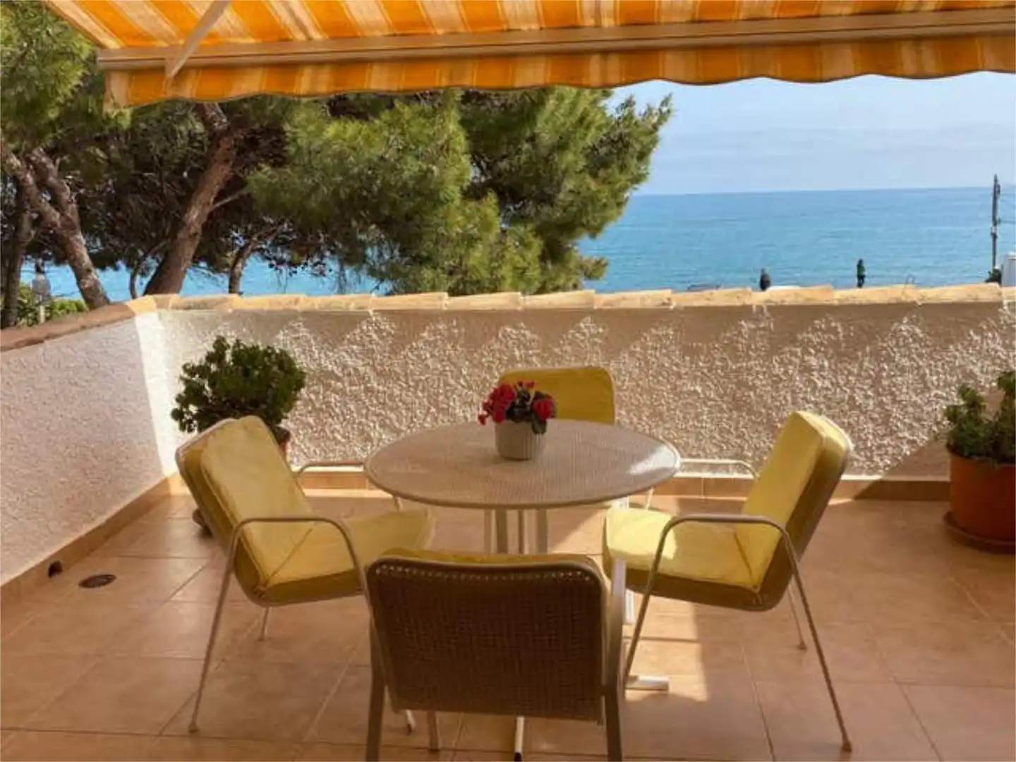 Apartments for rent in Alcossebre