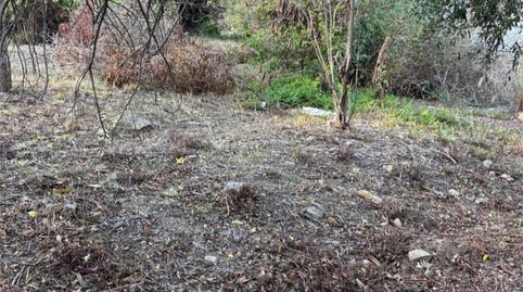 Foto 4 de Finca rústica en venta en Calle Pasada de Alcalá, 24, Jimena de la Frontera, Cádiz