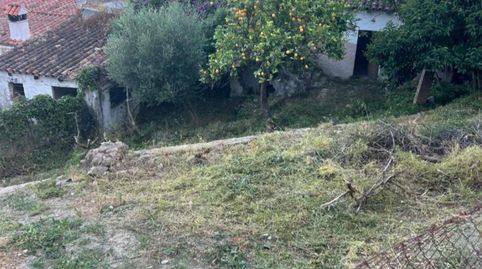 Foto 3 de Finca rústica en venta en Calle Pasada de Alcalá, 24, Jimena de la Frontera, Cádiz