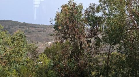 Foto 2 de Dúplex en venta en Lugar San Jose del Alamo, 1, San Lorenzo, Las Palmas de Gran Canaria