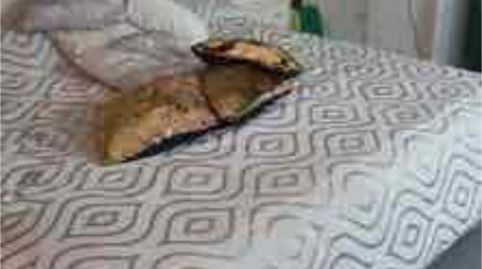 Foto 4 de Casa adosada en venta en Calahonda, Mijas