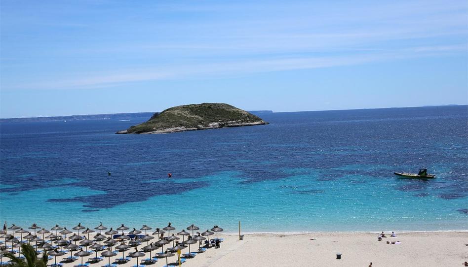 Pis de lloguer a Avinguda Magaluf, 18, Magaluf, Calvià - imatge 1 Foto 1 de Pis de lloguer a Avinguda Magaluf, 18, Magaluf, Calvià