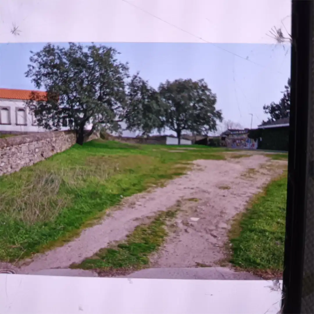 Land for sale in Villavieja de Yeltes
