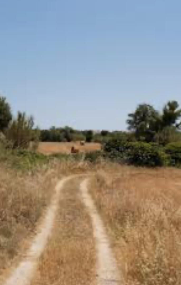 Finca rústica en venda en Lorca amb Jardí privat